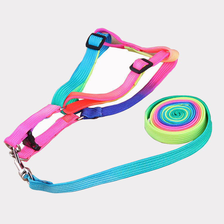 Leashes colorful leashes - Firbly | Your Pet's Favorite Store 