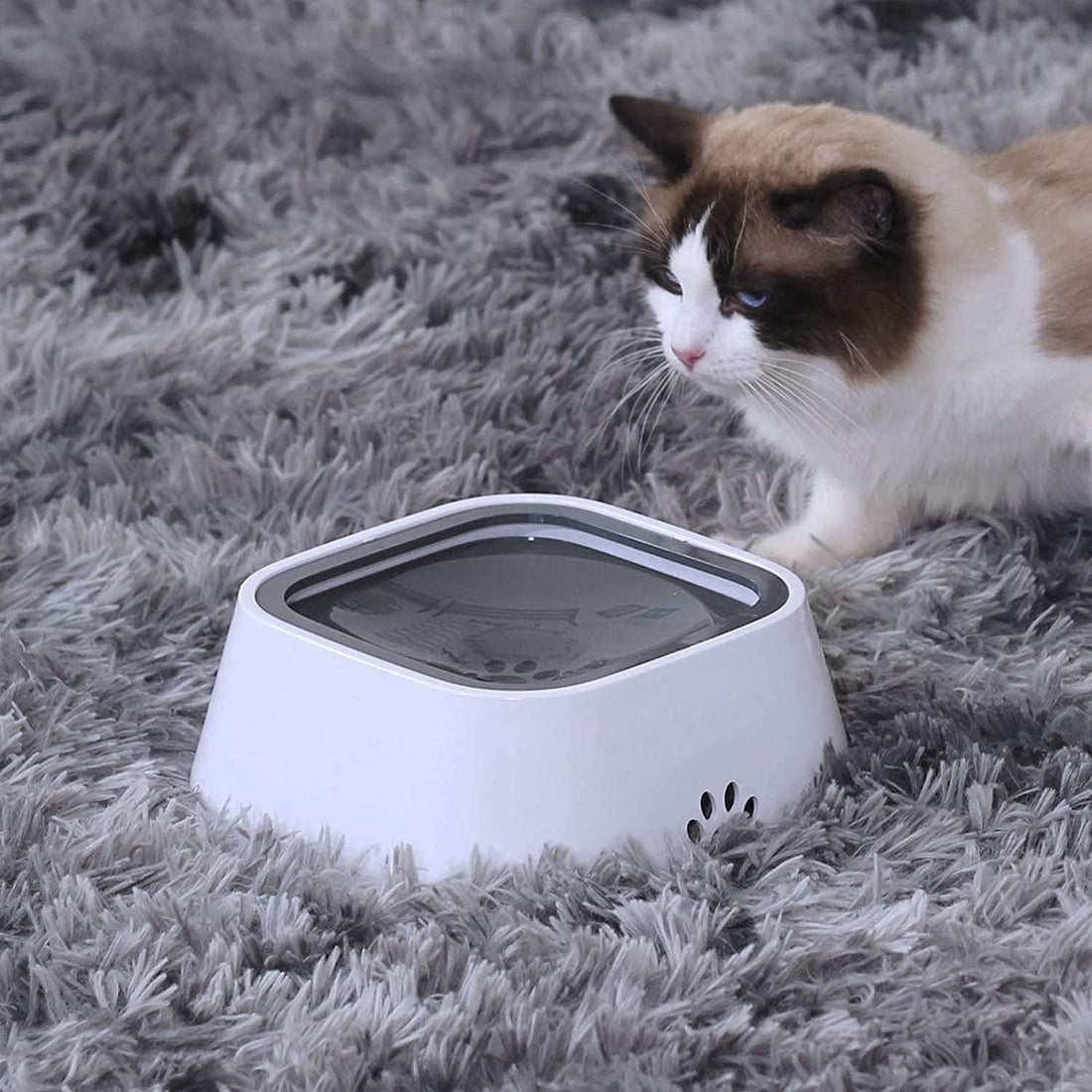 No-Spill Pet Water Bowl - Firbly | Your Pet's Favorite Store 